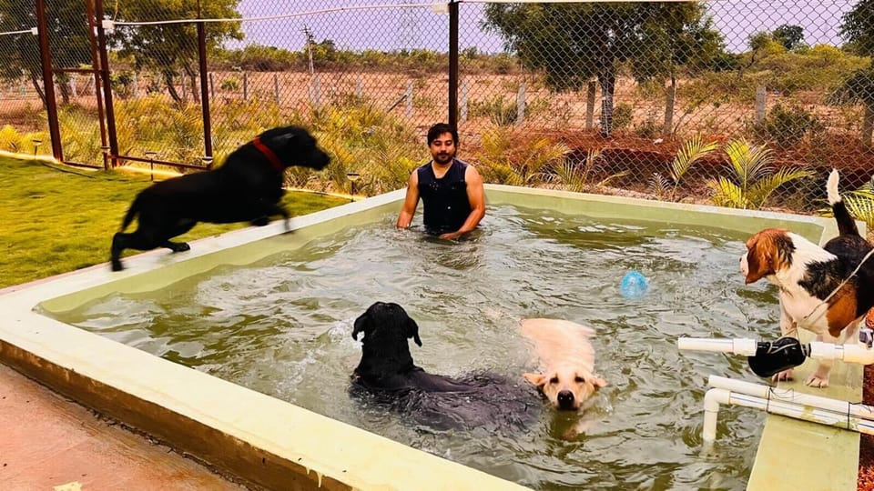 Pet-friendly
