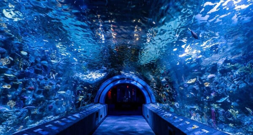 The Newport Aquarium is only 5 miles away.