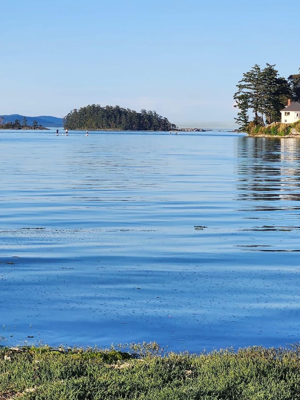 Roberts Bay