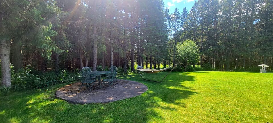 Jay cooke cottage outdoor sitting and eating area with hammock &Pines 60-70 ft.