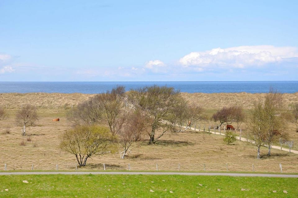 Immediate Surroundings [summer] (<1 km)