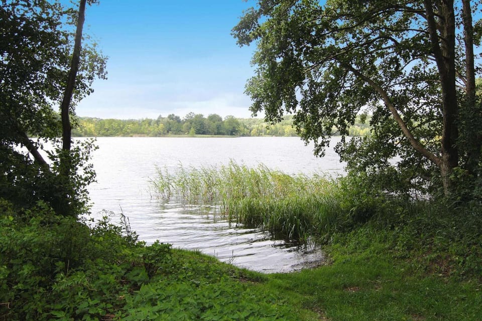 Region [summer] (>5 km)