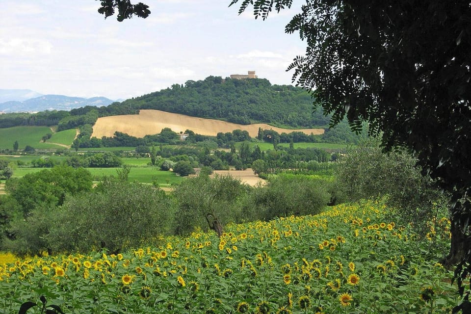Surroundings [summer] (1-5 km)