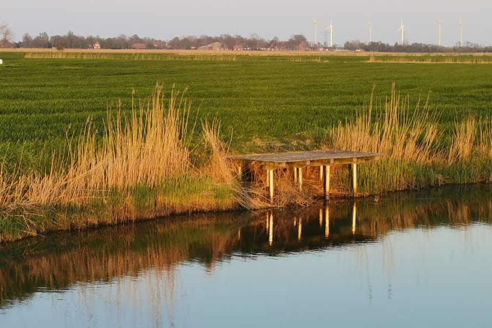 Immediate Surroundings [summer] (<1 km)