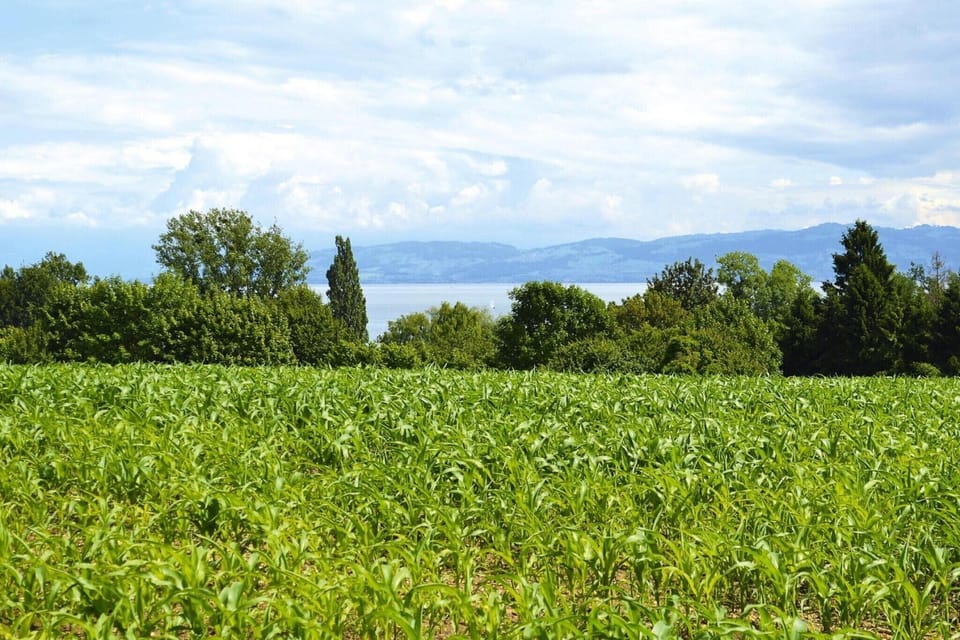 Surroundings [summer] (1-5 km)