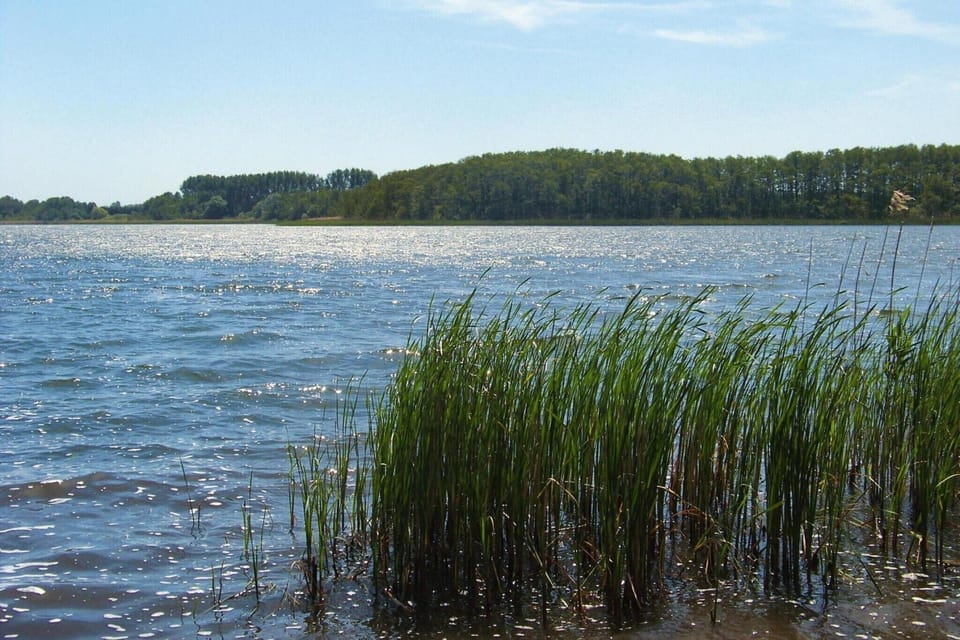 Surroundings [summer] (1-5 km)