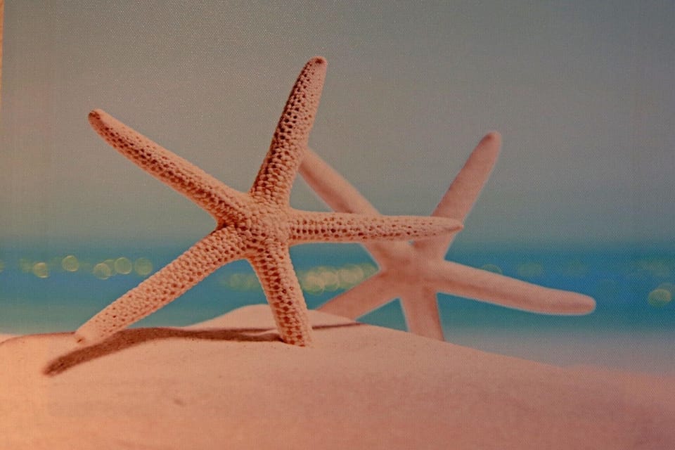 Ambiance / Close-up