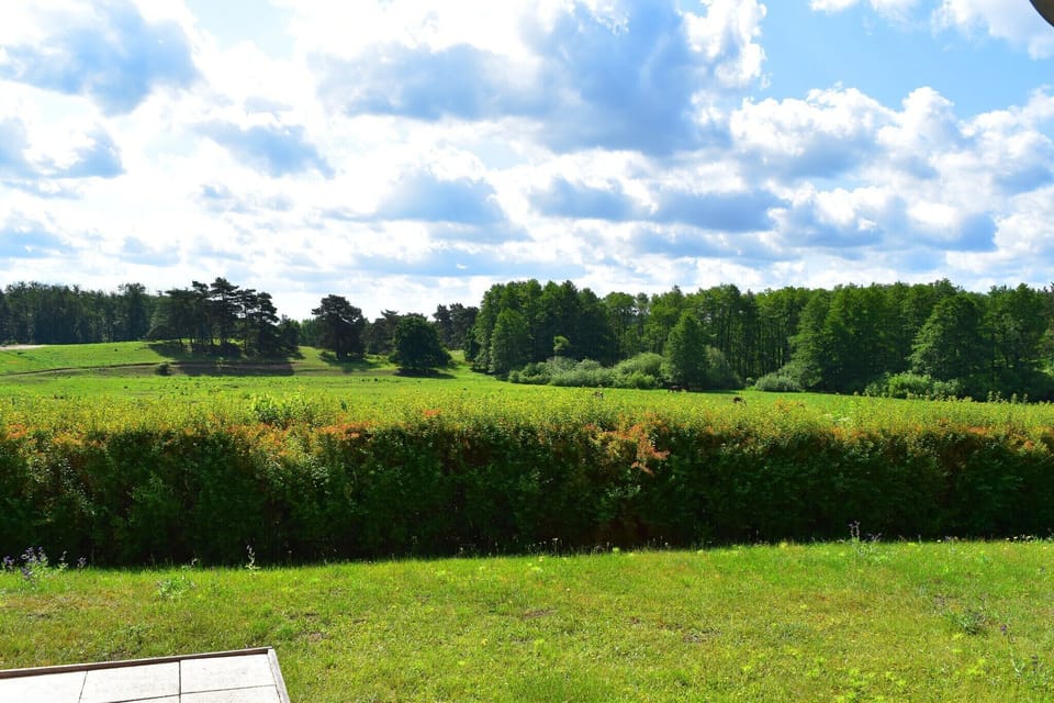 View from Holiday Home [summer]