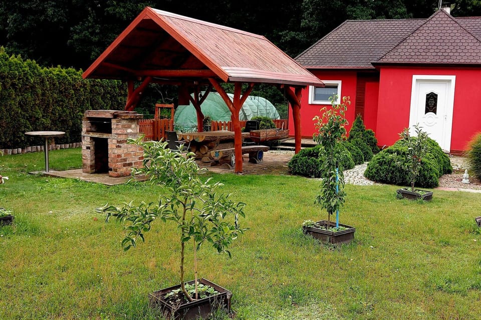 Garden [summer]