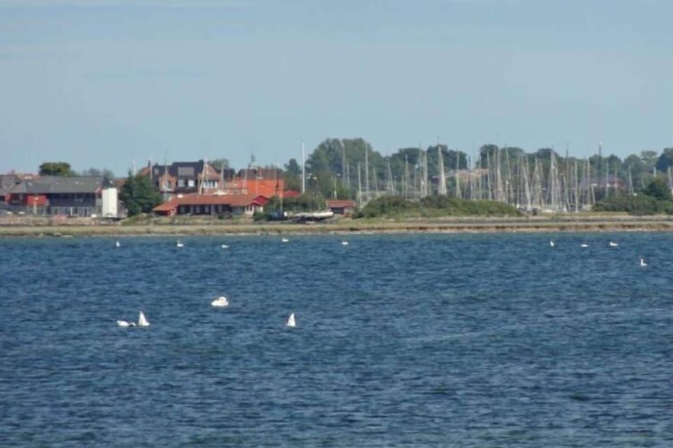 Surroundings [summer] (1-5 km)