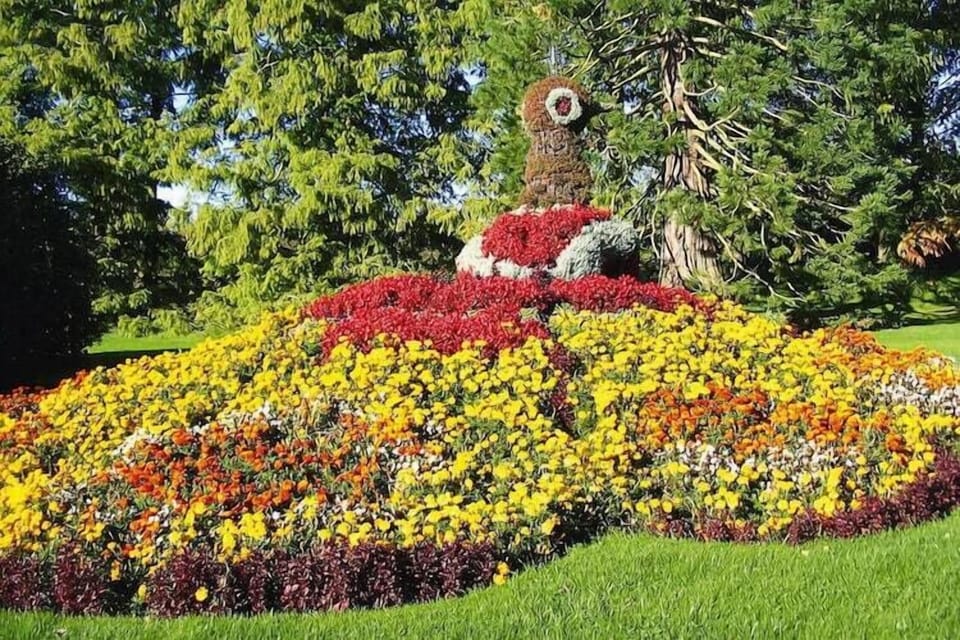 Garden [summer]