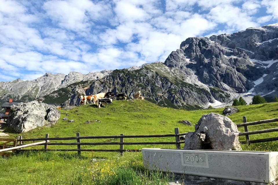 Immediate Surroundings [summer] (<1 km)