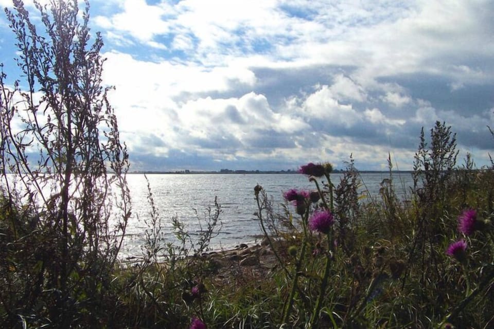 Surroundings [summer] (1-5 km)