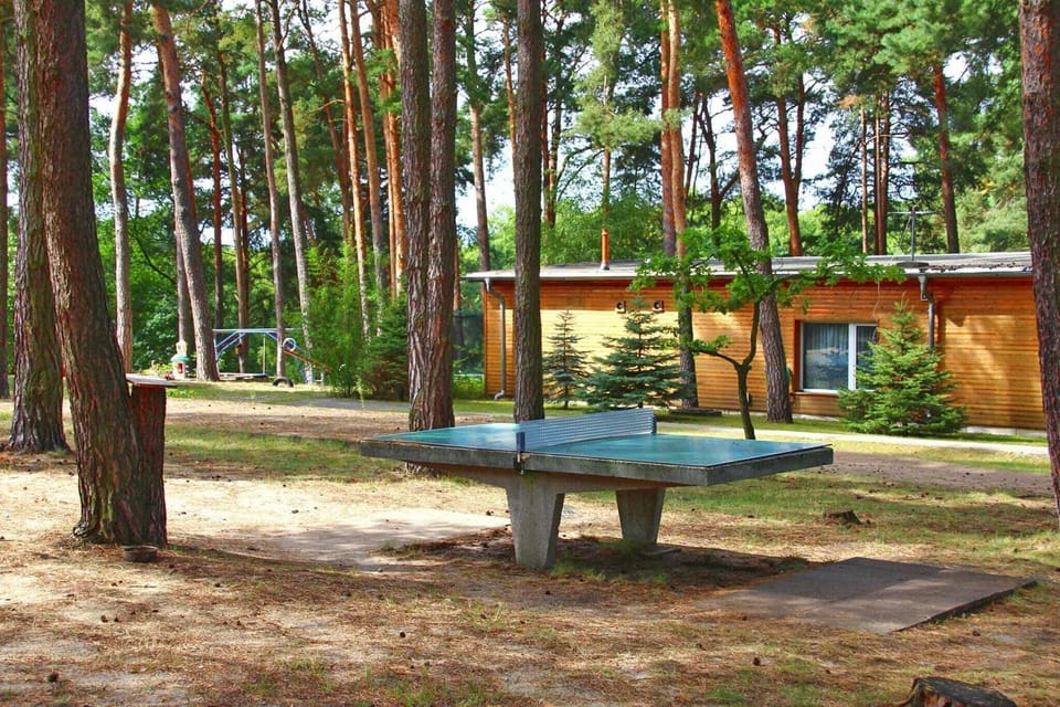 Immediate Surroundings [summer] (<1 km)