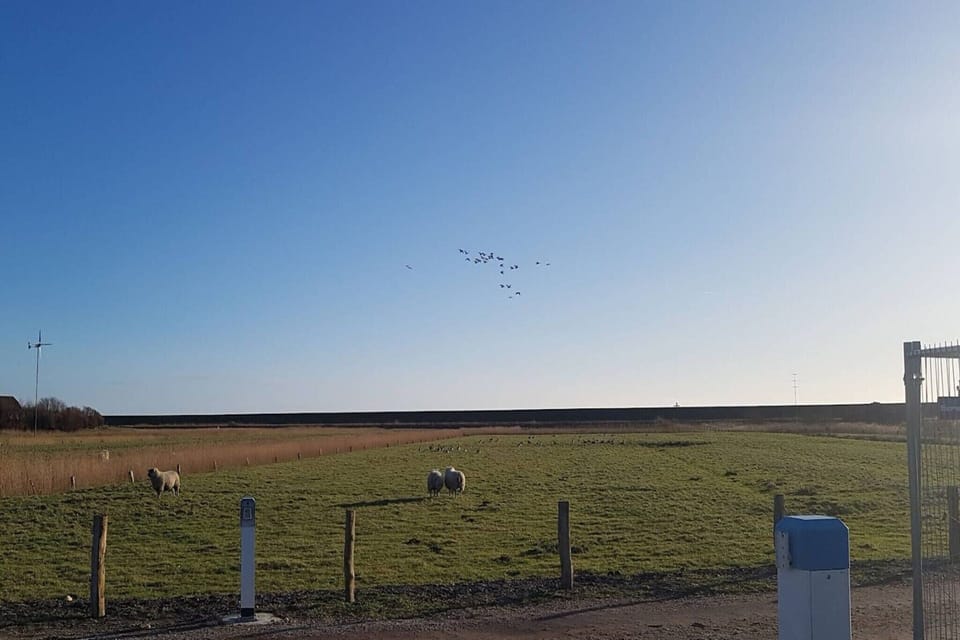 Surroundings [summer] (1-5 km)