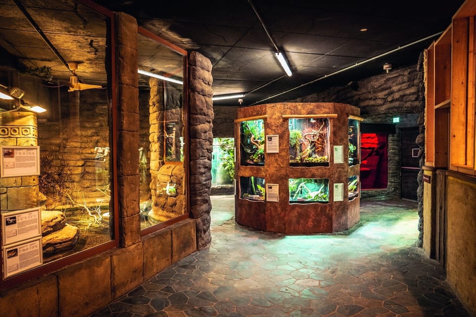 Holiday Park Facilities and Services 