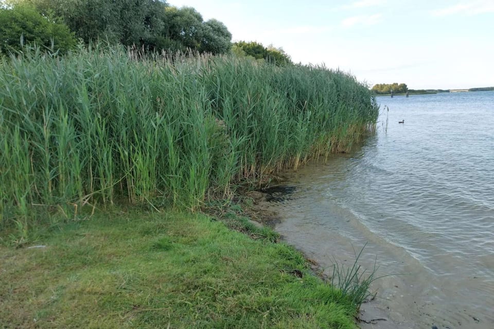 Surroundings [summer] (1-5 km)