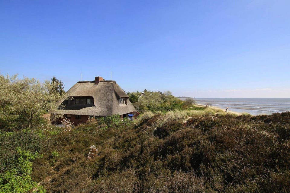 Immediate Surroundings [summer] (<1 km)