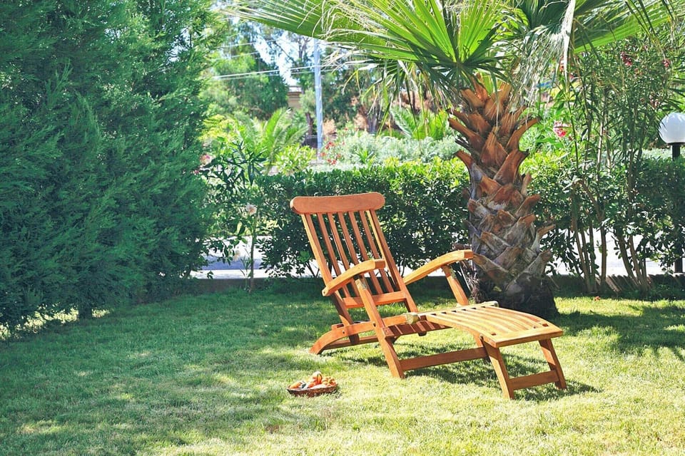 Garden [summer]