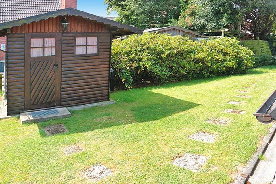 Garden [summer]
