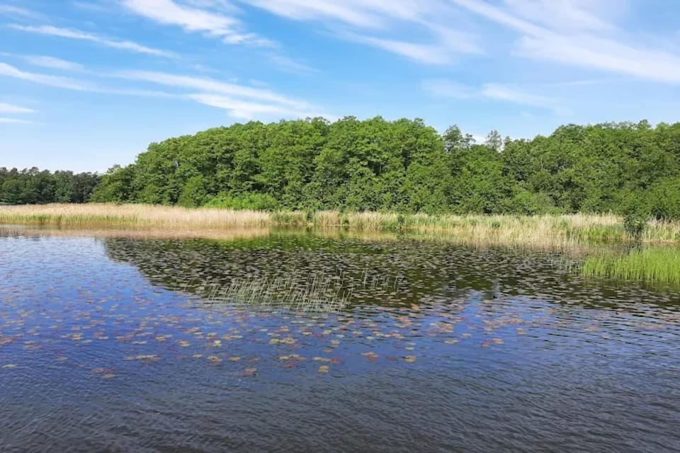 Surroundings [summer] (1-5 km)