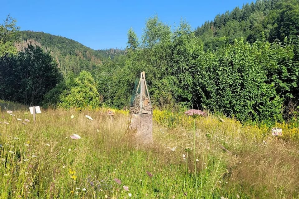 Surroundings [summer] (1-5 km)