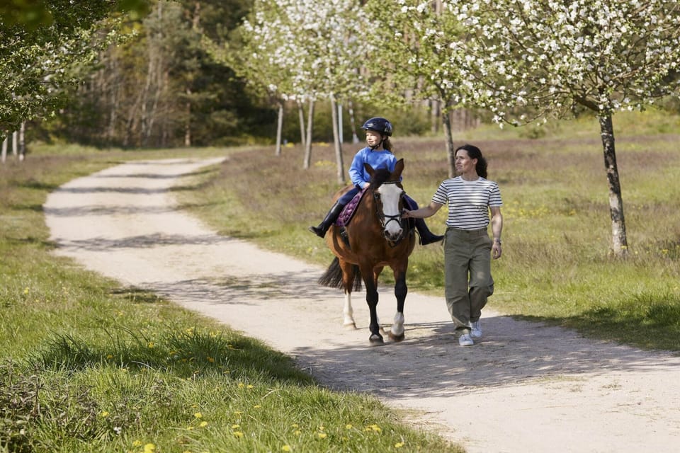Holiday Park Facilities and Services 