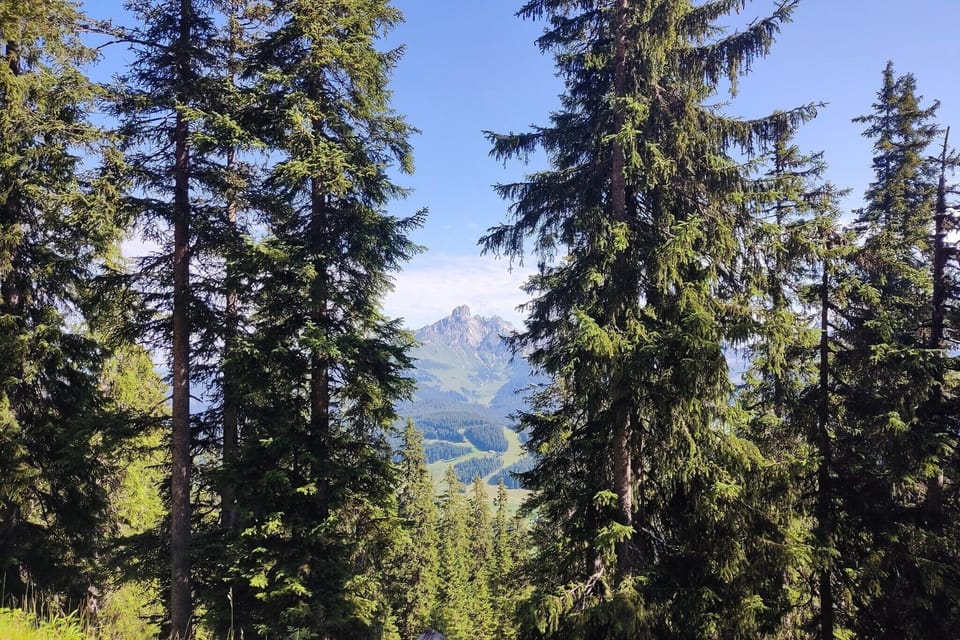Immediate Surroundings [summer] (<1 km)