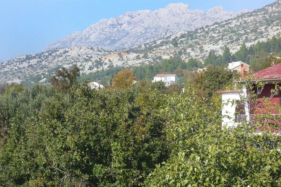 View from Holiday Home [summer]