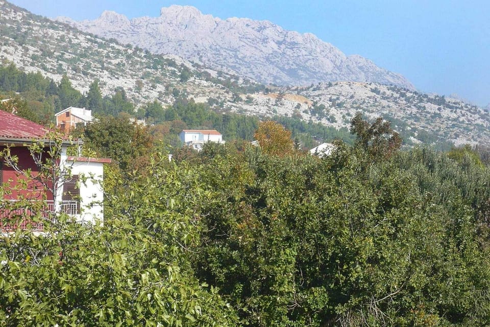 View from Holiday Home [summer]