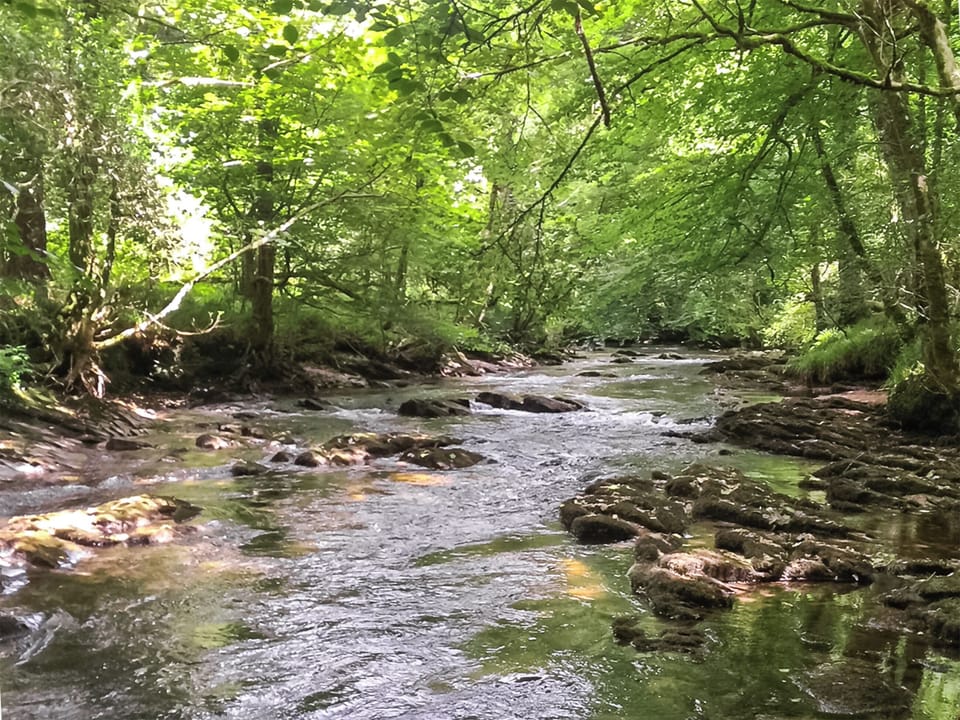 Surrounding area | Hollyhocks Cottage, Hellandbridge, near Bodmin