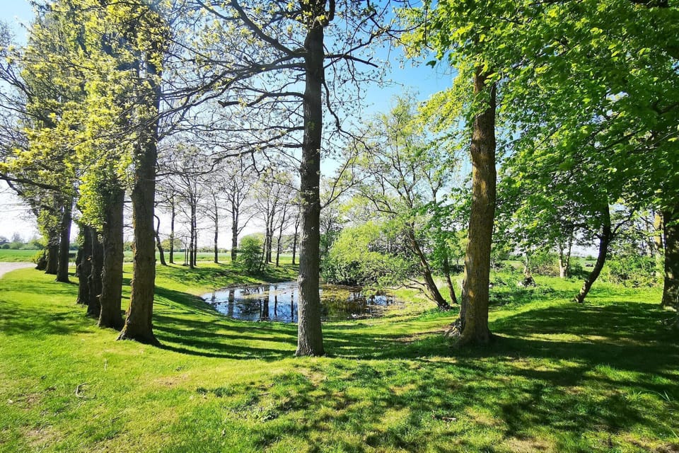 Surroundings [summer] (1-5 km)