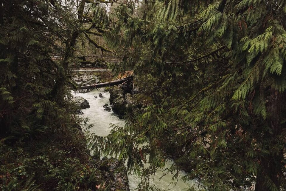 Canyon Creek