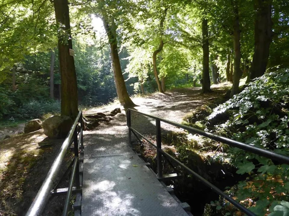 Immediate Surroundings [summer] (<1 km)