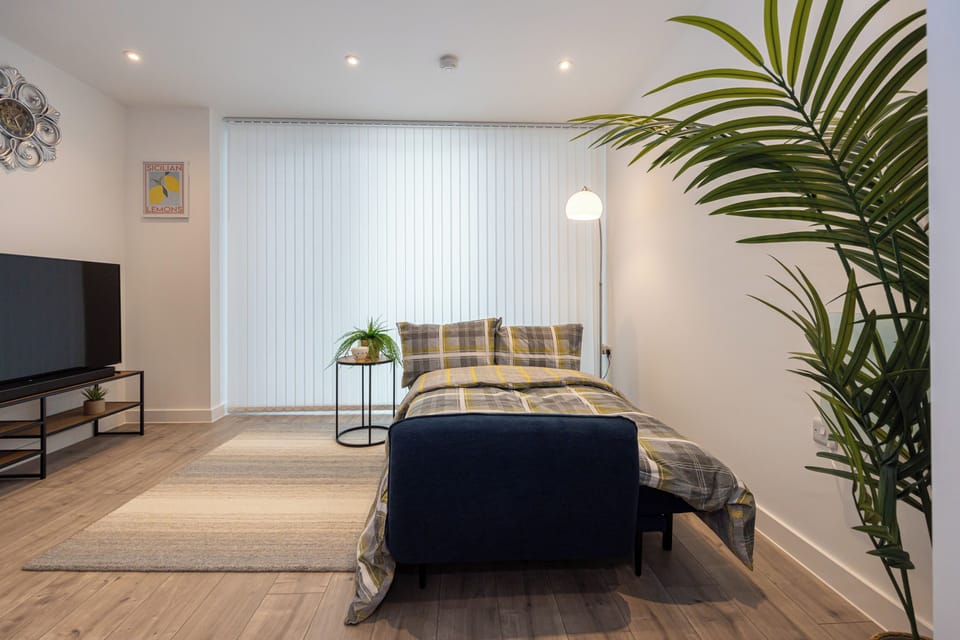 Living Room and Sofa bed 