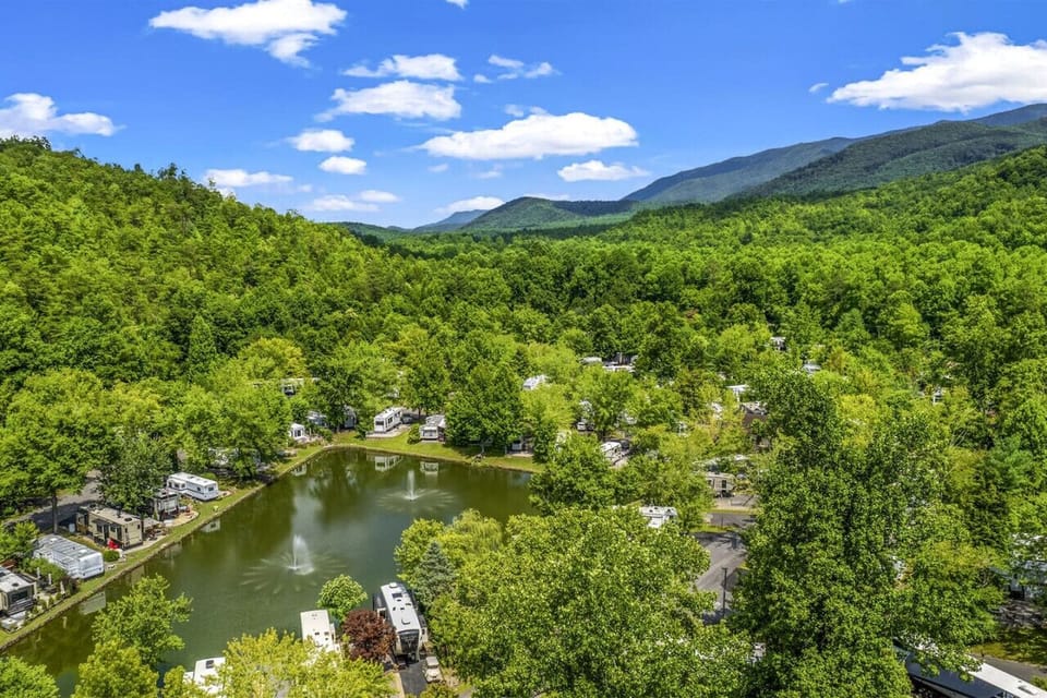Pond overview