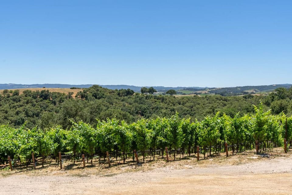 Stunning vineyard views at The Story, 1000 Kiler Canyon Road.