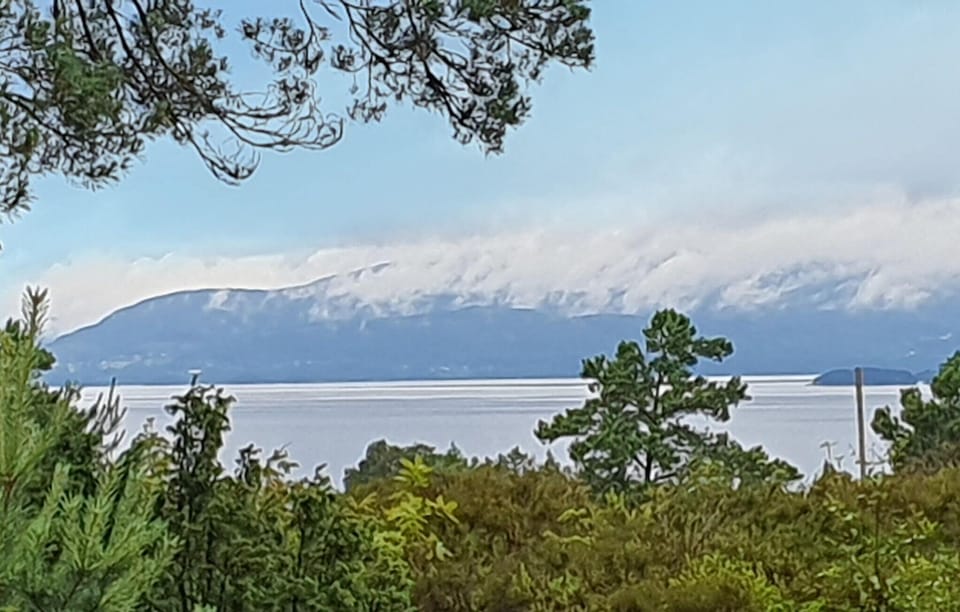 view-from-room