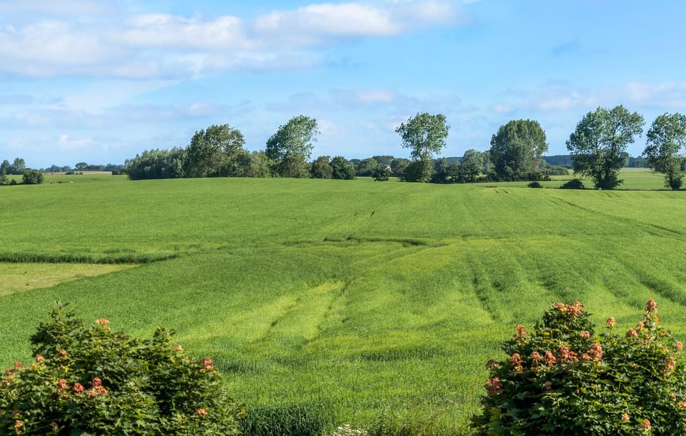 area