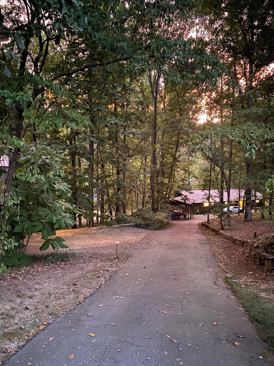 Dusk on the driveway leading to Magnolia Trace.