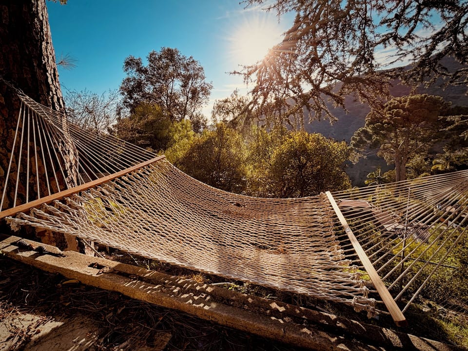 Relax the Day Away in your Hammock