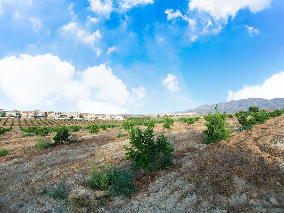 Surroundings [summer] (1-5 km)