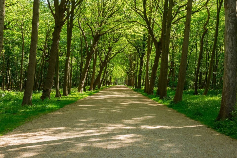 Immediate Surroundings [summer] (<1 km)