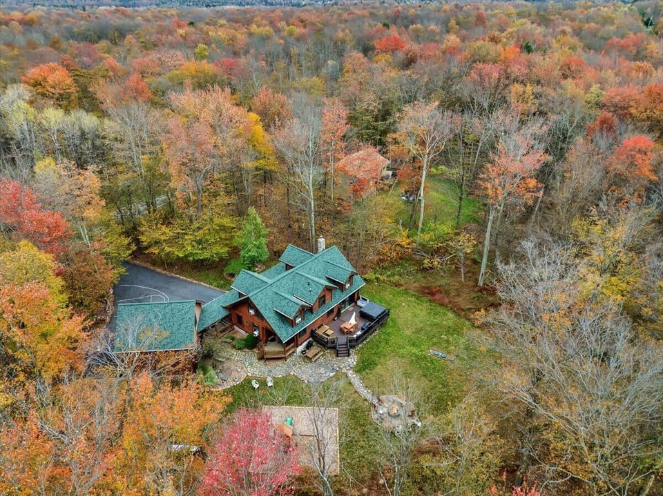 Secluded Mountain Cabin Nestled in the Woods