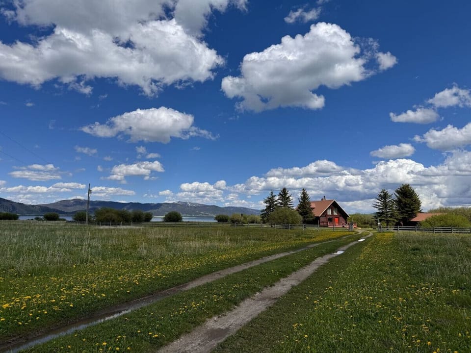 Exterior- Driveway/ Front View 