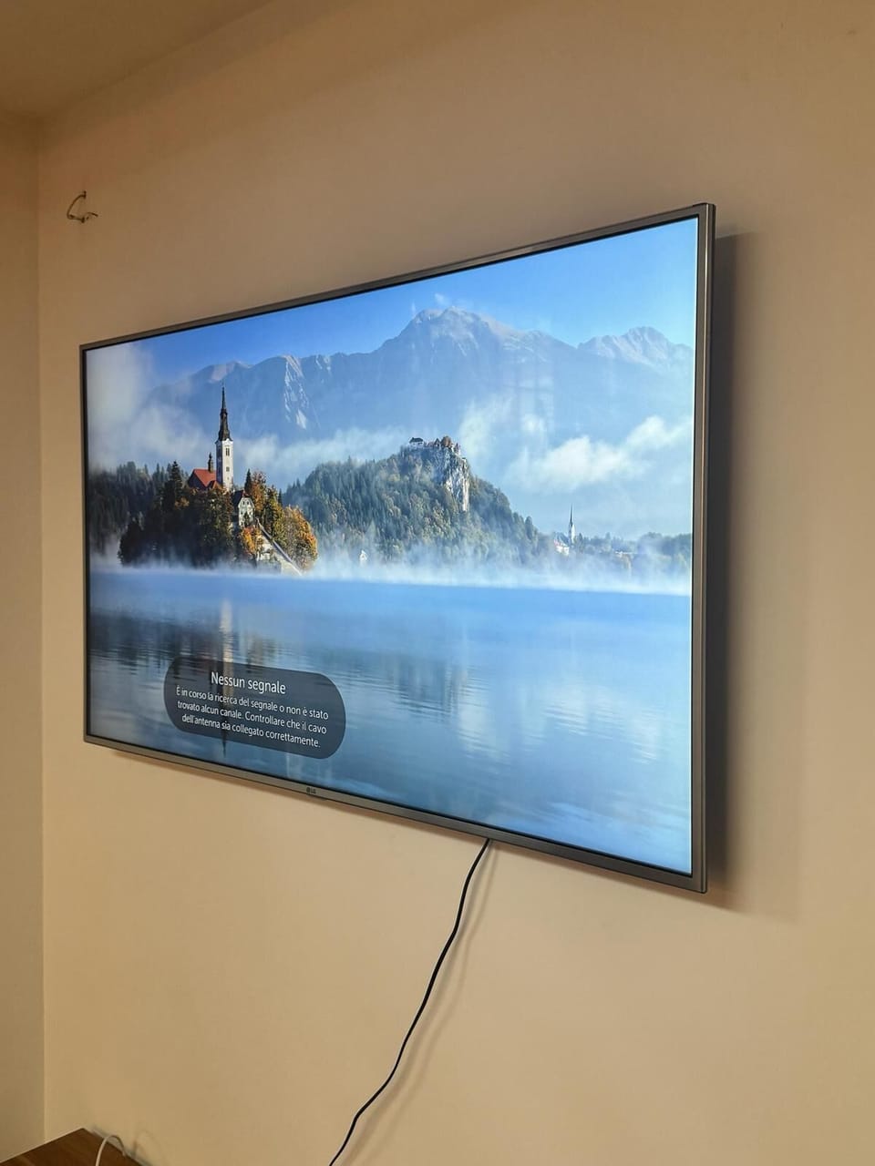 Television