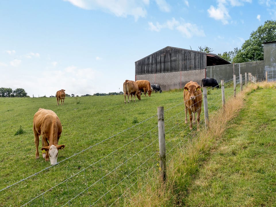 Surrounding area | The Mill Flat - Darnell&rsquo;s Farm, Linton, near Ross-on-Wye