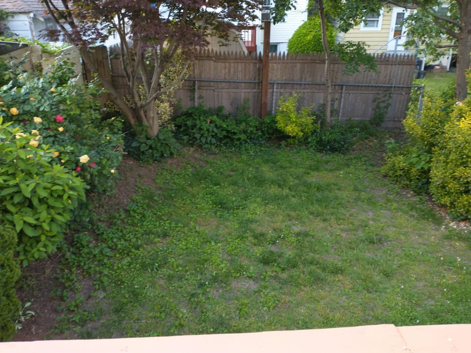 Fenced back yard.