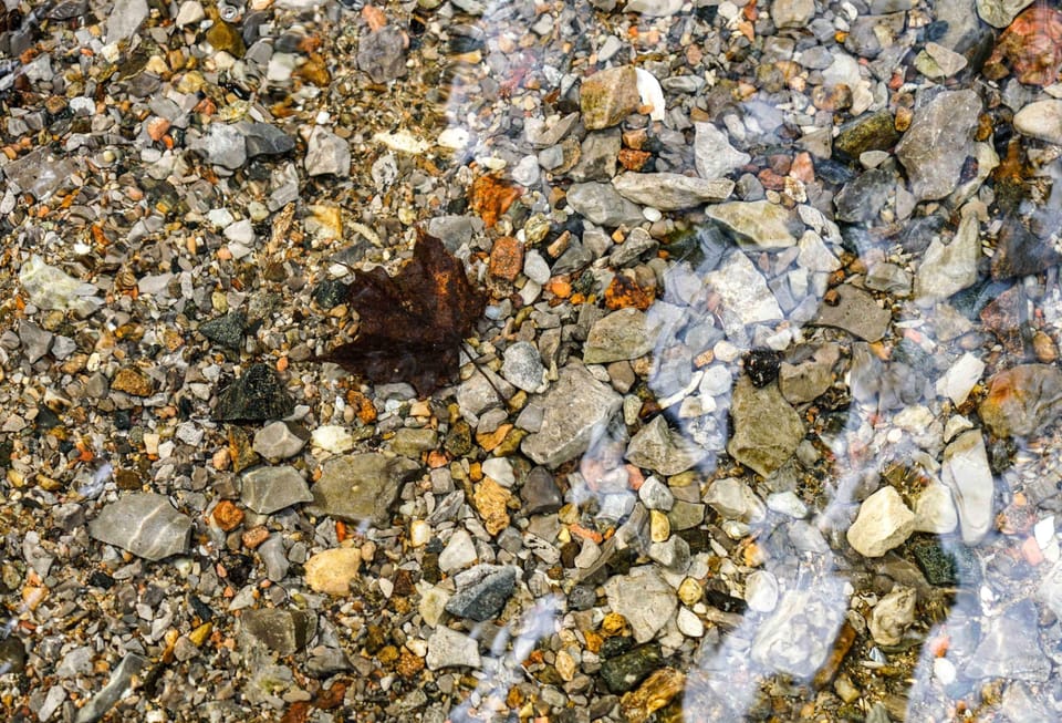Crystal-clear water revealing the beauty of Calabogie Lake 