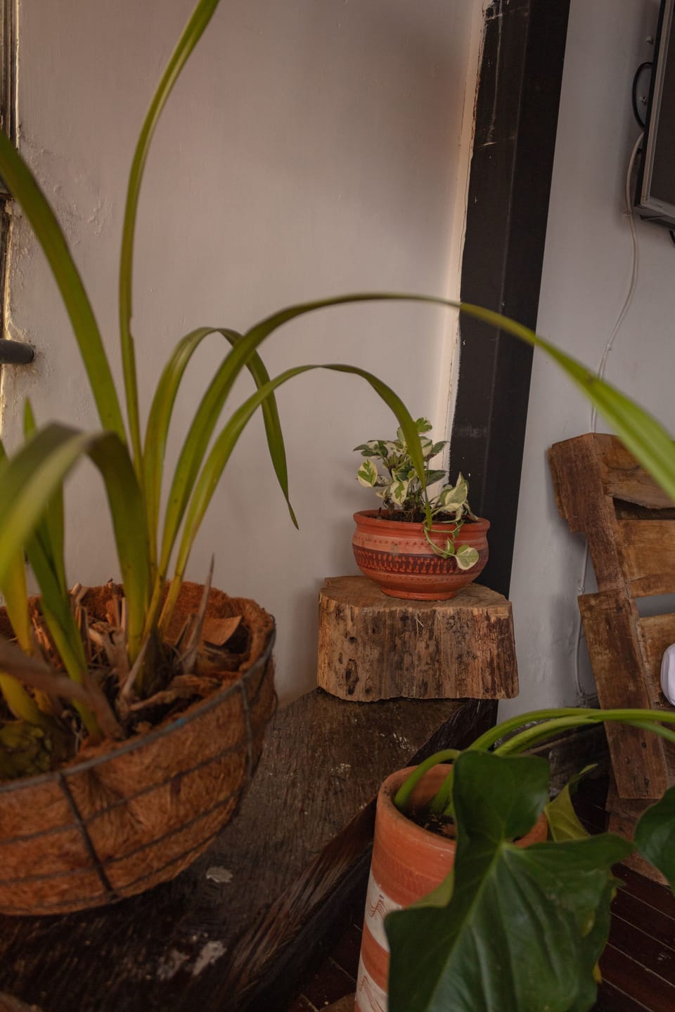 Interior detail
